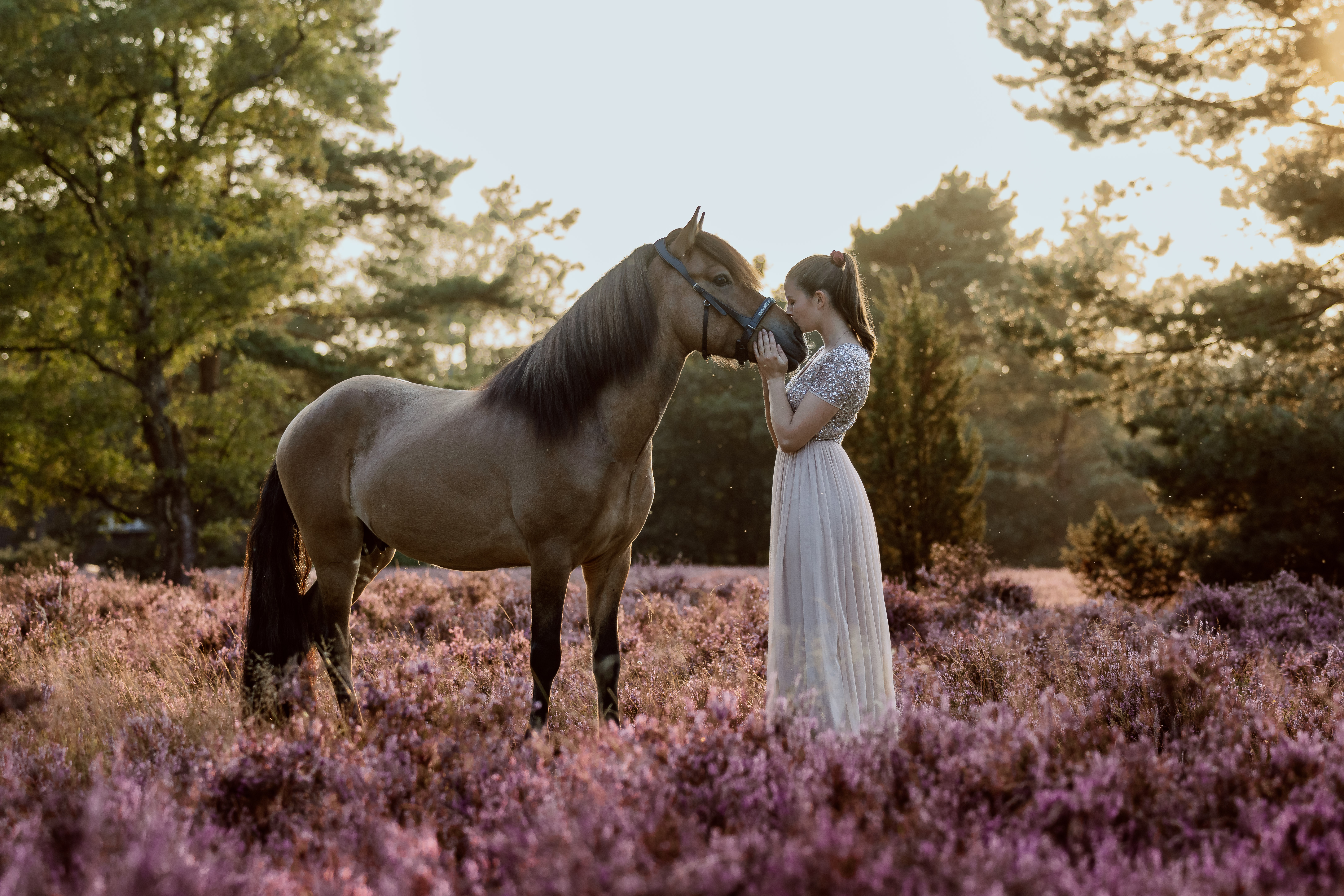 Tierfotografie von Kameraklicks
